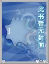 上门医婿