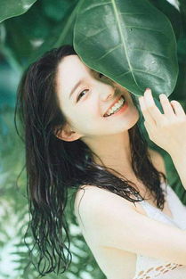 虎婿